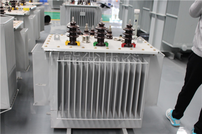 偃师S20-1000KVA油浸式变压器